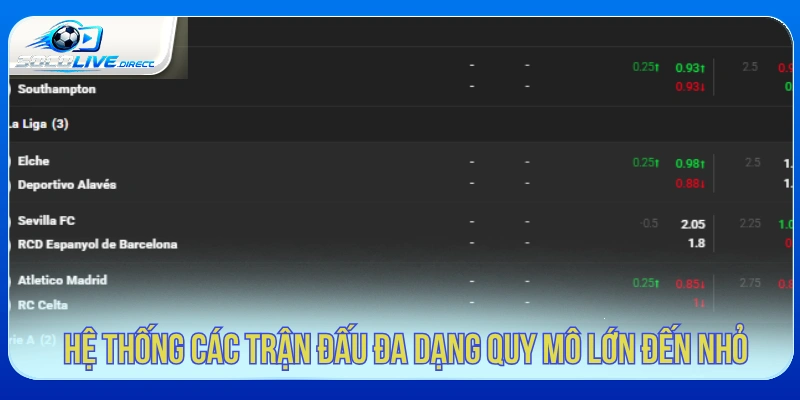 Trang Chủ Hệ thống các trận đấu đa dạng mọi quy mô